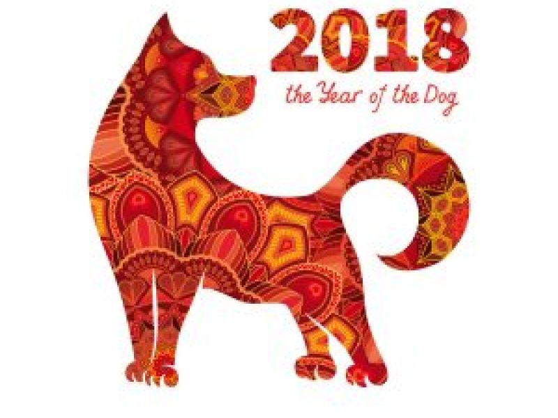 Celebrate The Year Of The Dog With Harvey (the Stikins ® Labels Dog)