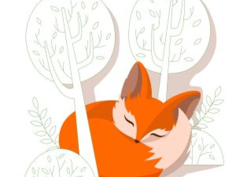 Fabulously Foxy Names Inspired By Fabulously Foxy Foxes!