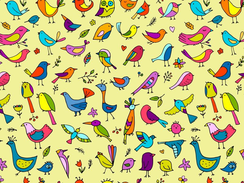 How Many Birds Will You Spot In This Year’s Big Garden Birdwatch?