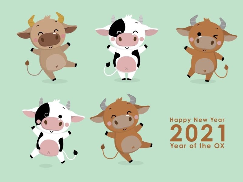 Celebrating The Year Of The Ox With Facts About Different New Years