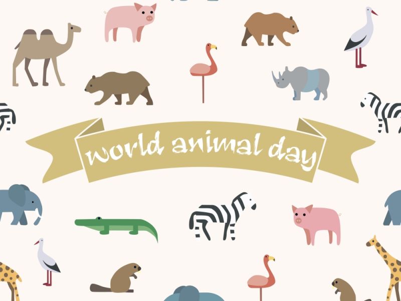 We're Celebrating World Animal Day With Names That Feature Creatures!