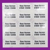 Stikins® name stickers printed with name and phone number on two lines