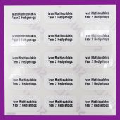Name stickers printed with name and year group on two lines