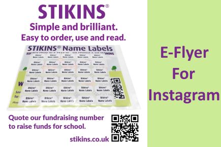 Stikins E-flyer For Instagram Accounts