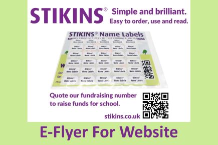 Stikins E-flyer For Websites