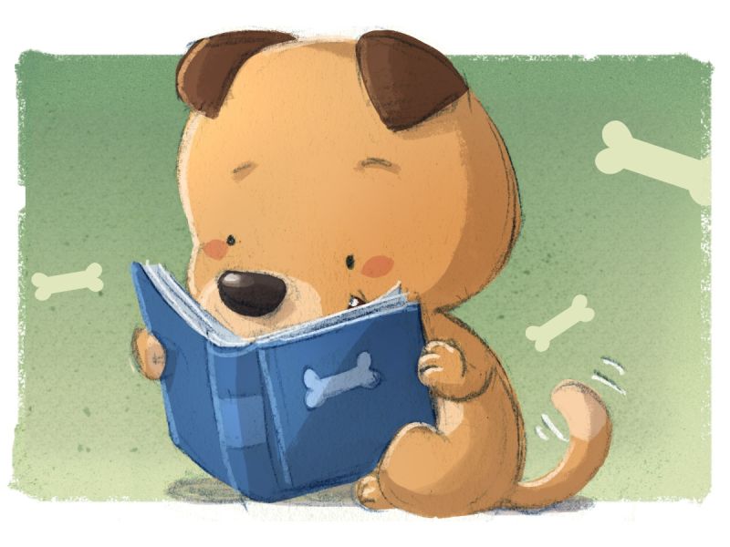 Keep Your Kids' Favourite Stories Safe For Storytime With Sticky Name Labels