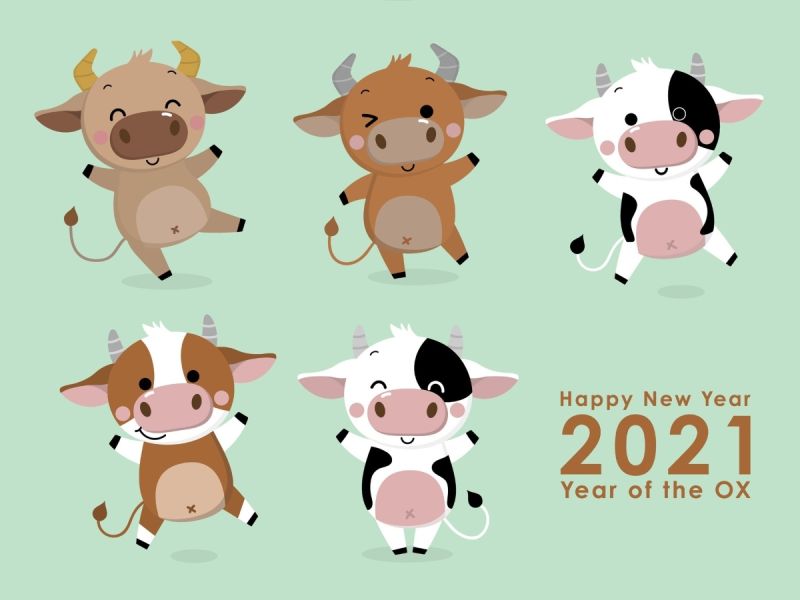 Celebrating The Year Of The Ox With Facts About Different New Years