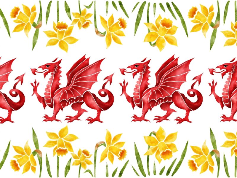 Wonderfully Welsh Names For St David’s Day 
