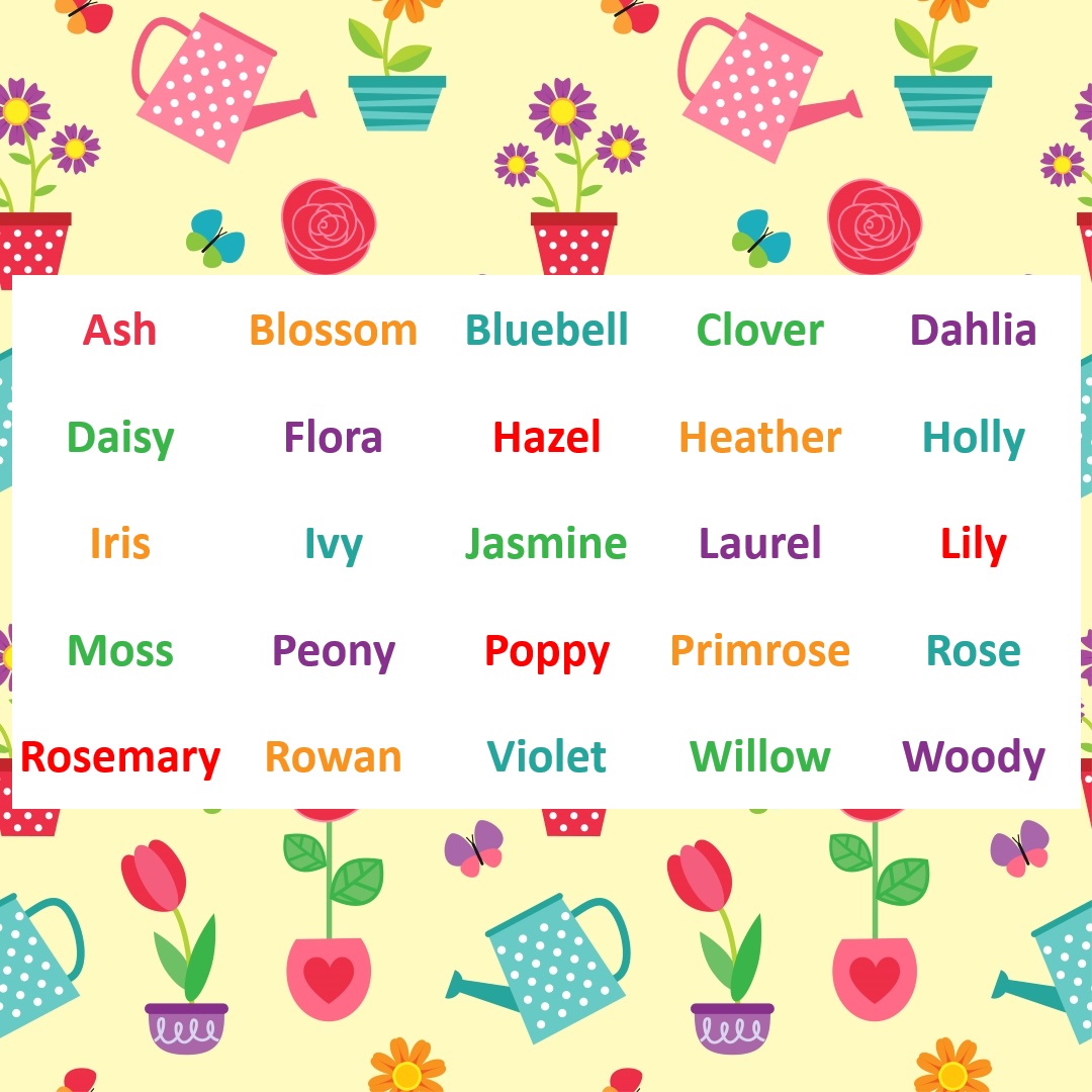 A list of names inspired by flowers is displayed in front of a background showing drawings of flowers, butterflies, and watering cans. The names are Ash, Blossom, Bluebell, Clover, Dahlia, Daisy, Flora, Hazel, Heather, Holly, Iris, Ivy, Jasmine, Laurel, Lily, Moss, Peony, Poppy, Primrose, Rose, Rosemary, Rowan, Violet, Willow, and Woody.