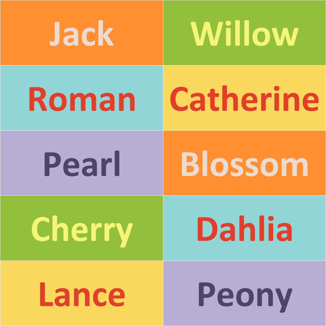 A brightly coloured background displays a list of names inspired by fireworks. The names are Jack, Willow, Roman, Catherine, Pearl, Blossom, Cherry, Dahlia, Lance, and Peony.