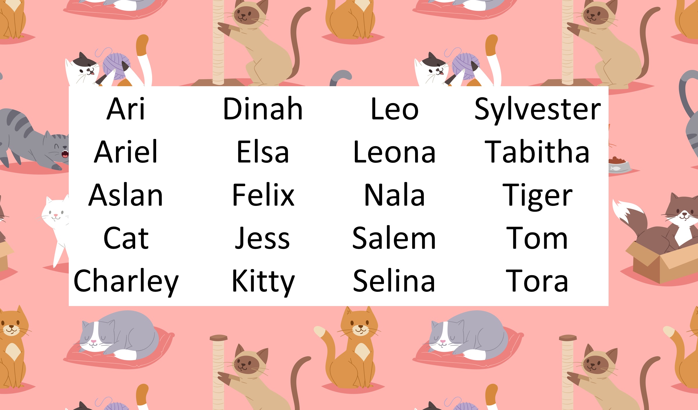 A list of names inspired by cats is listed in front of a background that features drawings of cats that are sleeping, sitting, sitting in a box, and scratching a post. The names are Ari, Dinah, Leo, Sylvester, Ariel, Elsa, Leona, Tabitha, Aslan, Felix, Nala, Tiger, Cat, Jess, Salem, Tom, Charley, Kitty, Selina, and Tora. 