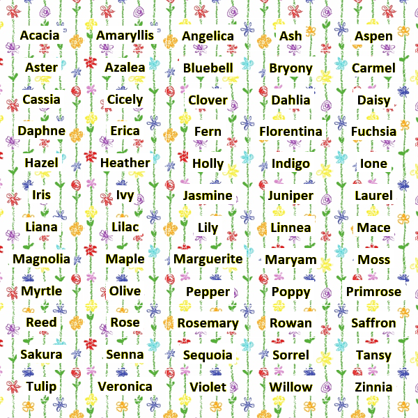 A list of names inspired by plants appears in front of a background showing crayon drawings of chains of different flowers. The names are Acacia, Amaryllis, Angelica, Ash, Aspen, Aster, Azalea, Bluebell. Bryony, Carmel, Cassia, Cicely, Clover, Dahlia, Daisy, Daphne, Erica, Fern, Florentina, Fuchsia, Hazel, Heather, Holly, Indigo, Ione, Iris, Ivy, Jasmine, Juniper, Laurel, Liana, Lilac, Lily, Linnea, Mace, Magnolia, Maple, Marguerite, Maryam, Moss, Myrtle, Olive, Pepper, Poppy, Primrose, Reed, Rose, Rosemary, Rowan, Saffron, Sakura, Senna, Sequoia, Sorrel, Tansy, Tulip, Veronica, Violet, Willow, and Zinnia. 