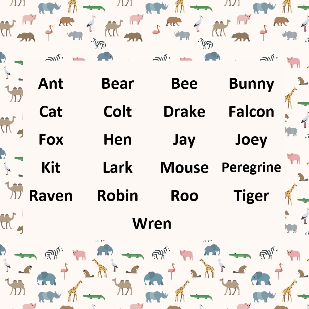 A background depicts drawings of wild animals including camels, pigs, bears, boars, elephants, beavers, giraffes, crocodiles, herons, and zebra.  In front is a list of names inspired by animals. The names are Ant, Bear, Bee, Bunny, Cat, Colt, Drake, Falcon, Fox, Hen, Jay, Joey, Kit, Lark, Mouse, Peregrine, Raven, Robin, Roo, Tiger, and Wren. 