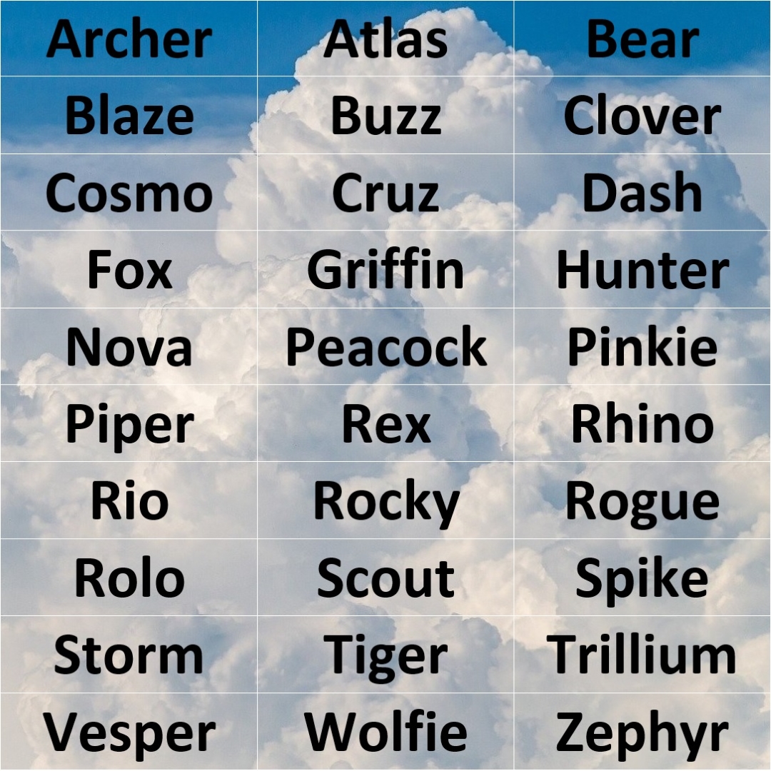 The background shows a photograph of a huge bank of fluffy clouds against a blue sky. In front is a list of names that could be used as call signs. The names are Archer, Atlas, Bear, Blaze, Buzz, Clover, Cosmo, Cruz, Dash, Fox, Griffin, Hunter, Nova, Peacock, Pinkie, Piper, Rex, Rhino, Rio, Rocky, Rogue, Rolo, Scout, Spike, Storm, Tiger, Trillium, Vesper, Wolfie, and Zephyr.